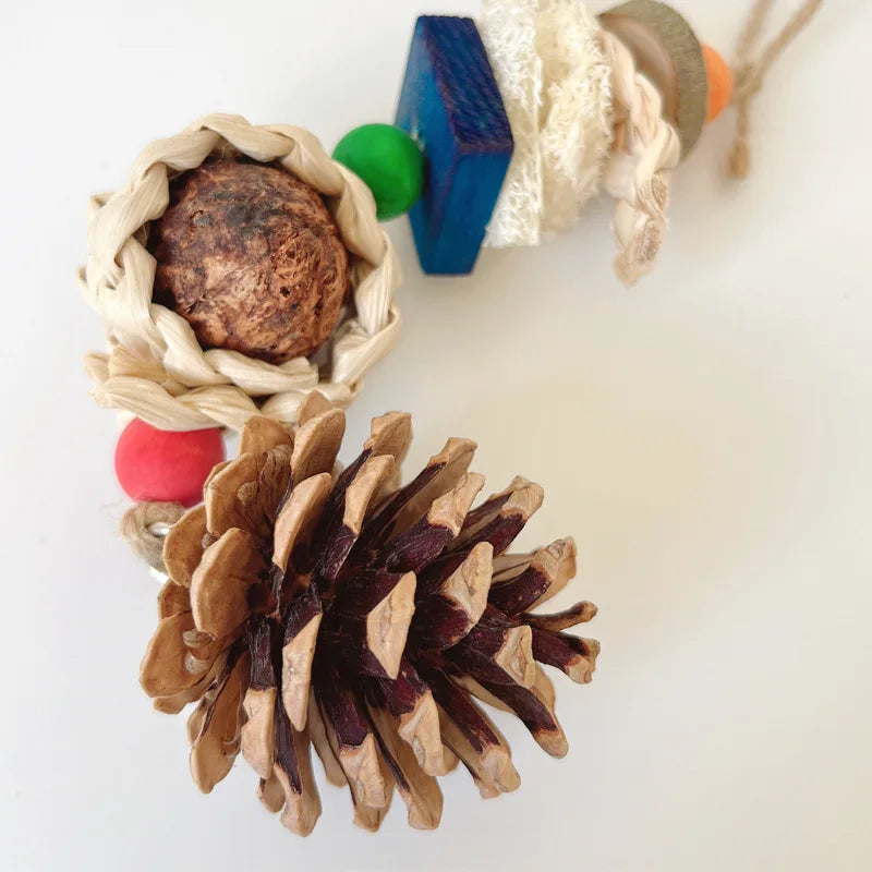 Pinecone Bird Chewing Toy