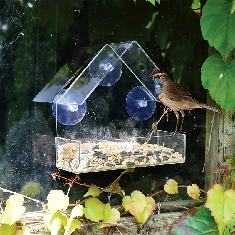 Clear Suction Bird Feeder