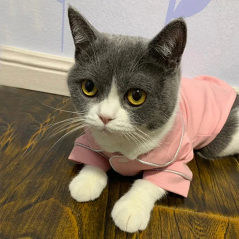 Christmas Cat Hoodie Suit