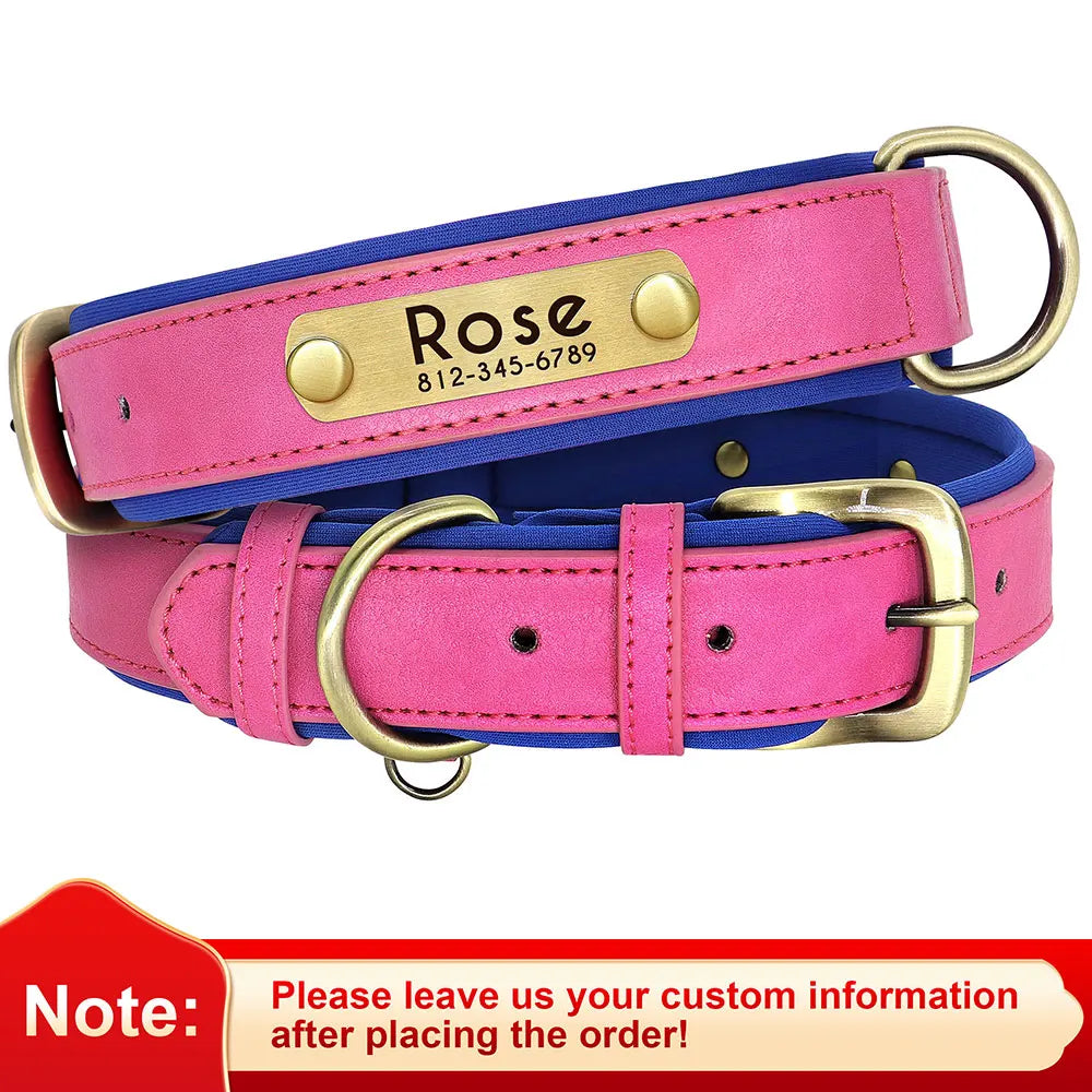 Personalized Padded Dog Collar