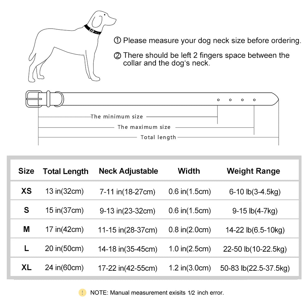 Personalized Padded Dog Collar