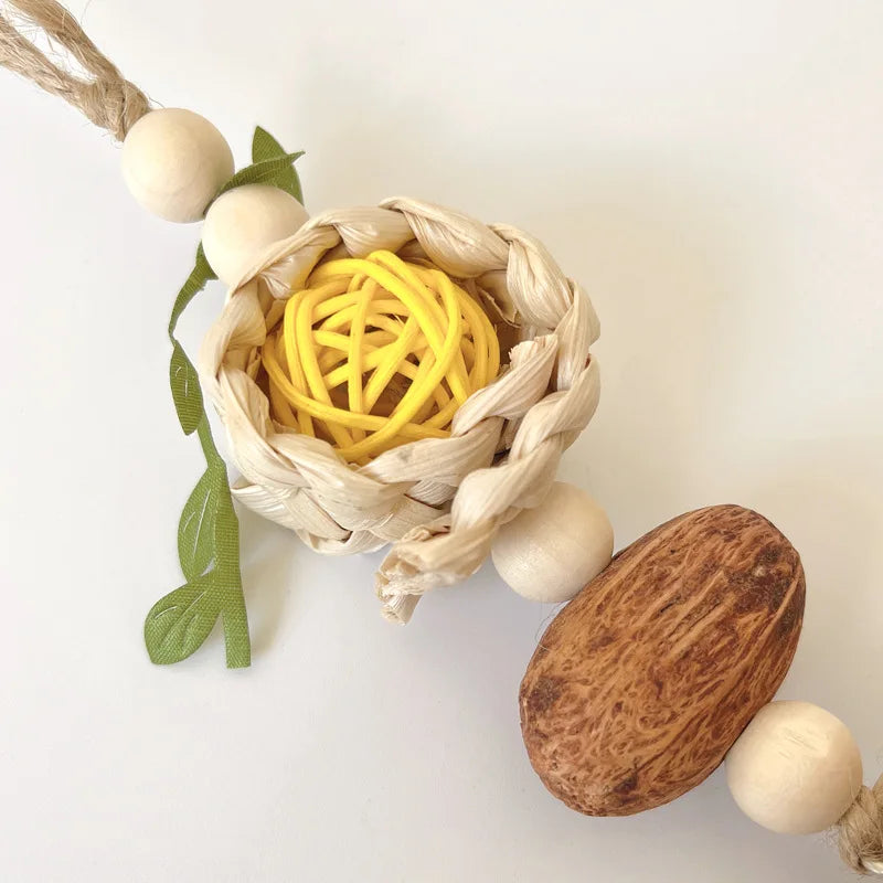 Pinecone Bird Chewing Toy