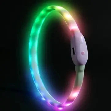 USB Rechargeable Glowing Collar