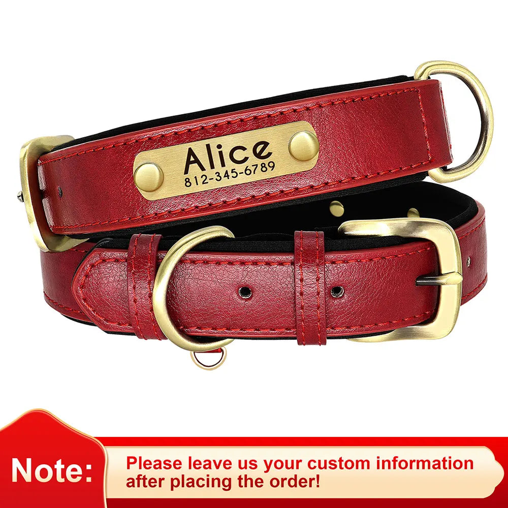 Personalized Padded Dog Collar
