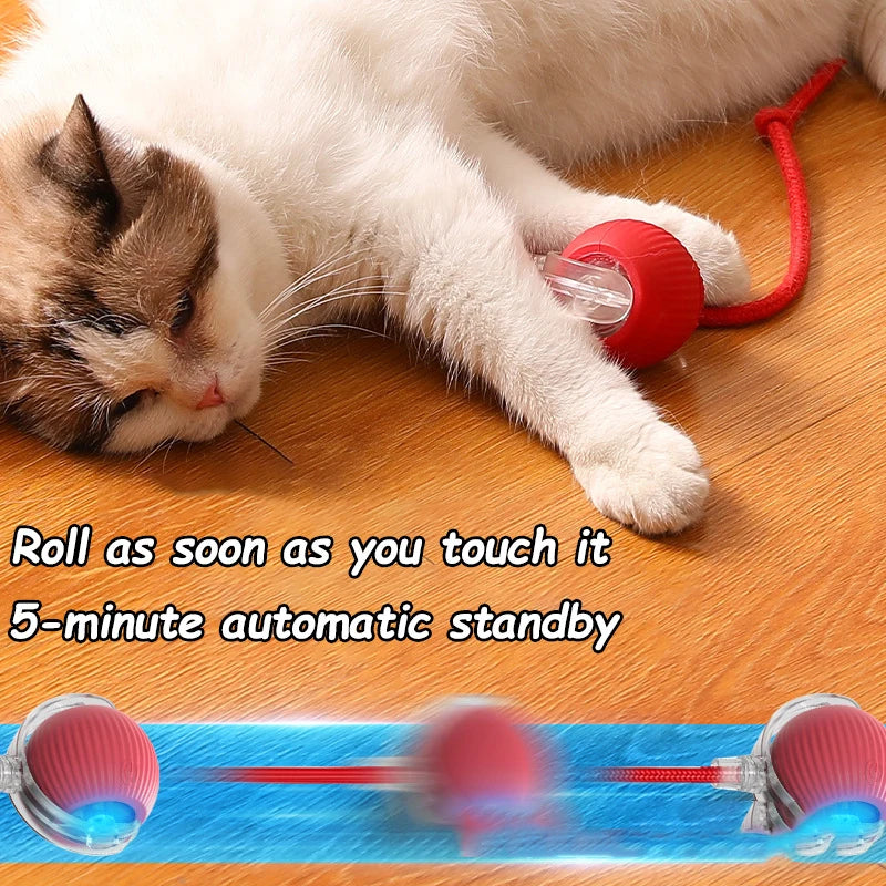 Smart Rolling Tail Ball